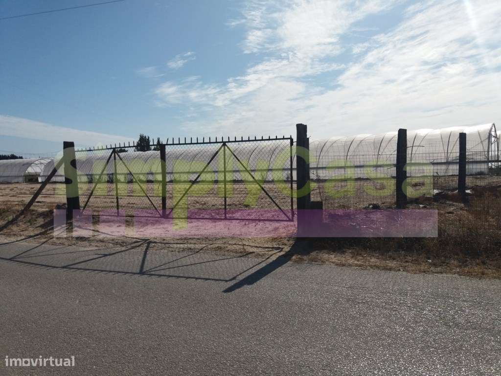 Moradia Ruina junto BA6 Montijo inserida em terreno c/ 3 ha-6