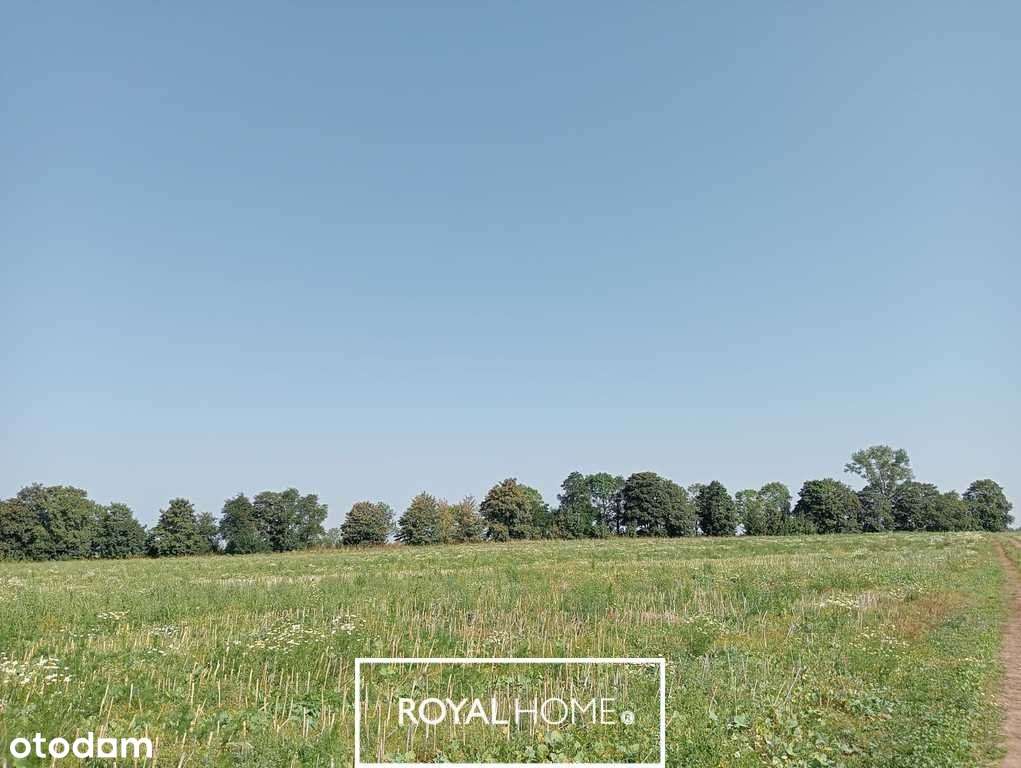 Działka na Wyspie Chrząszczewskiej 3001m² - Pełny obrazek: 5/6