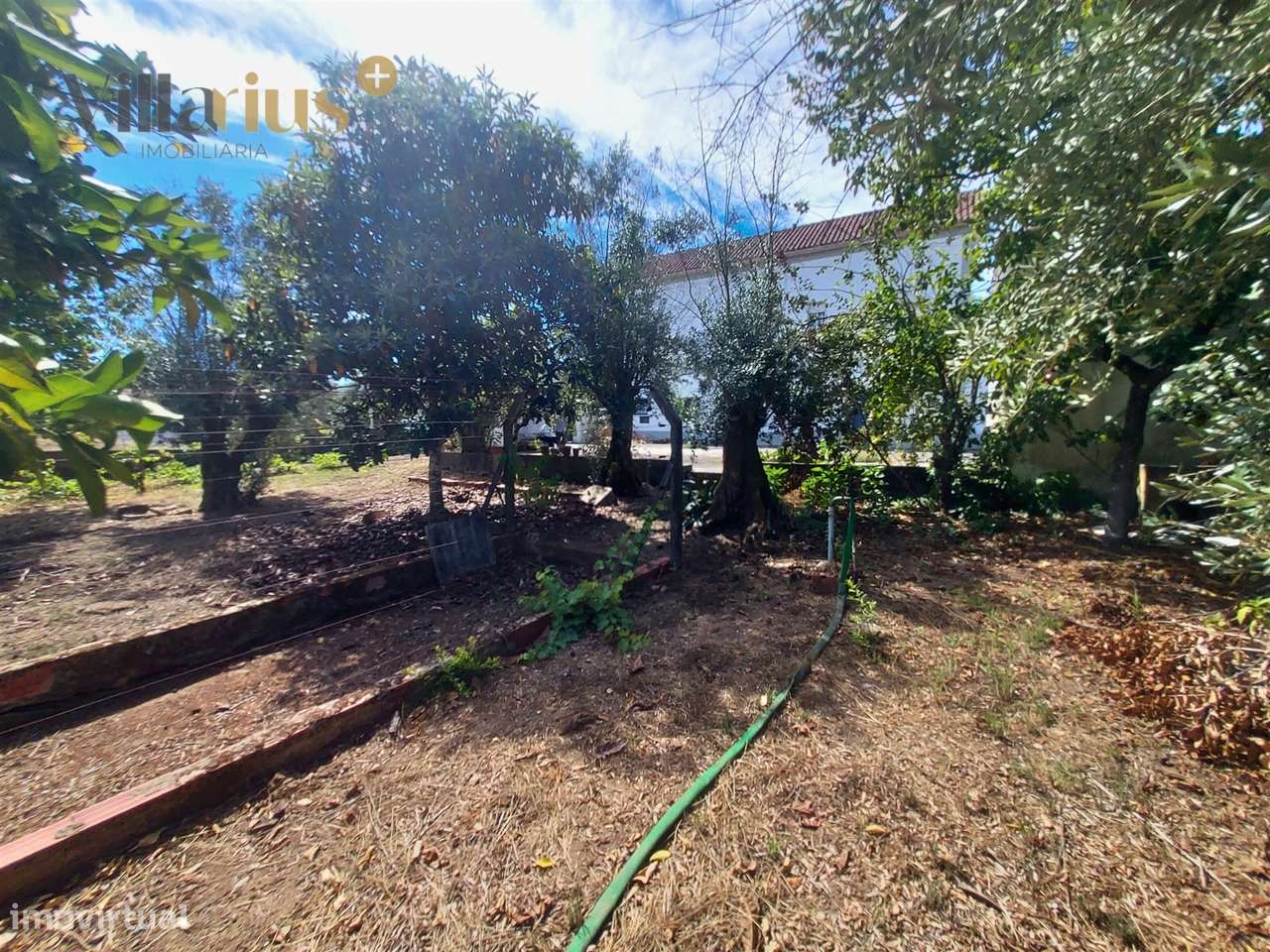 Moradia T3+1 à Venda em Tomar – Espaço e Natureza-41