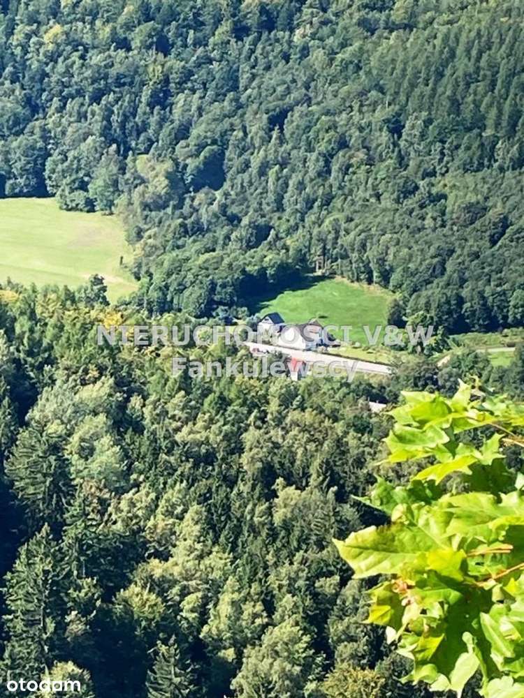 Dom, 247 m², Jelenia Góra - Pełny obrazek: 4/20