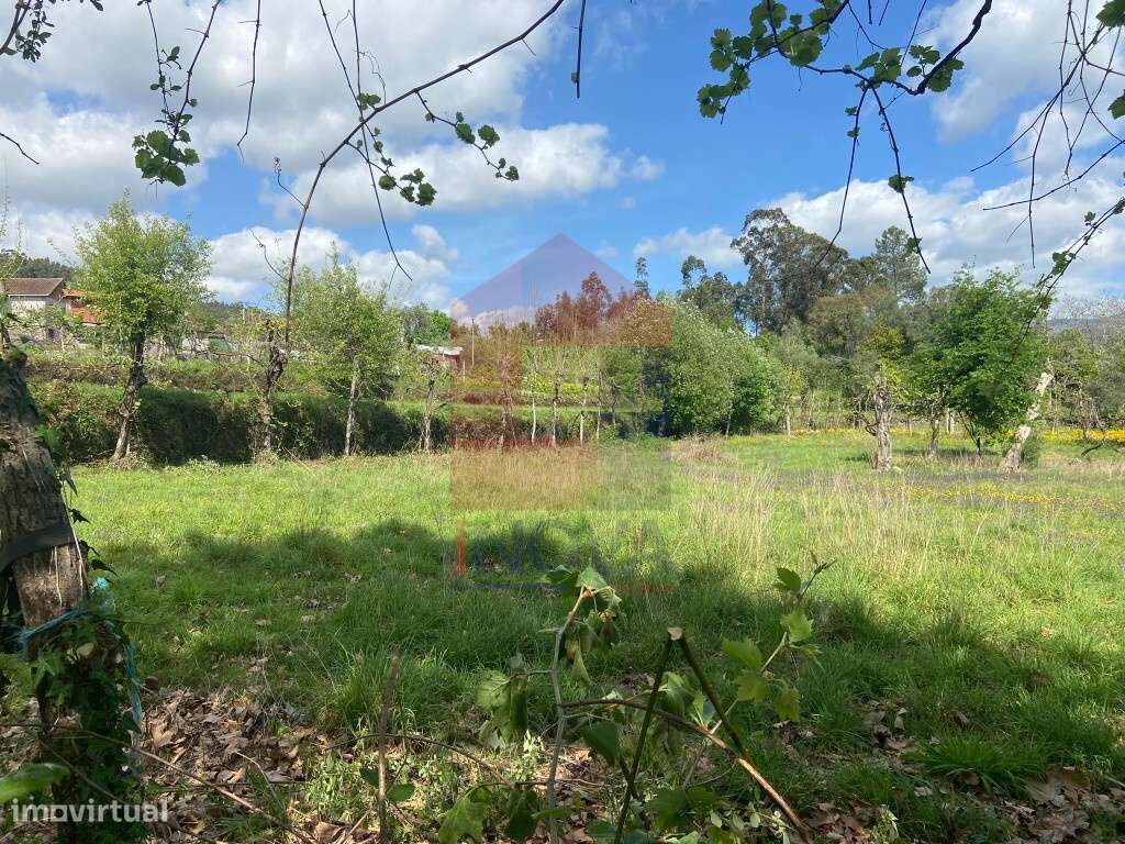 Terreno agrícola, Oriz Santa Marinha - Grande imagem: 2/7