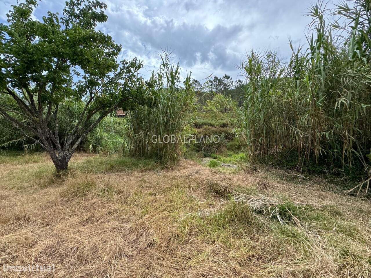 Terreno Rústico - Grande imagem: 5/12