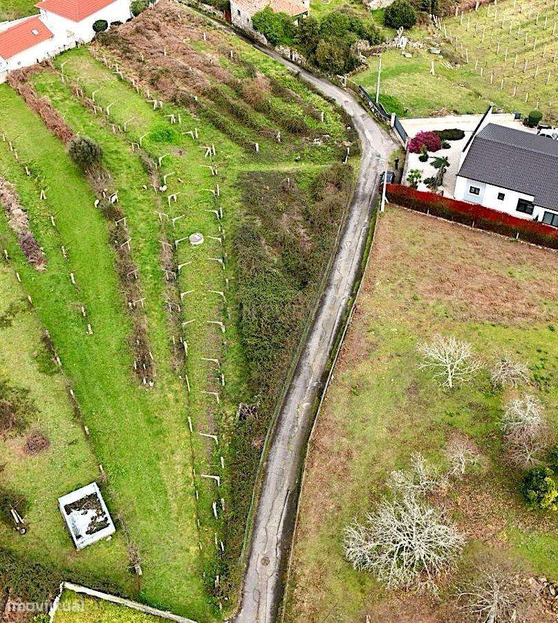 Terreno com 1350m2 - - Grande imagem: 5/13