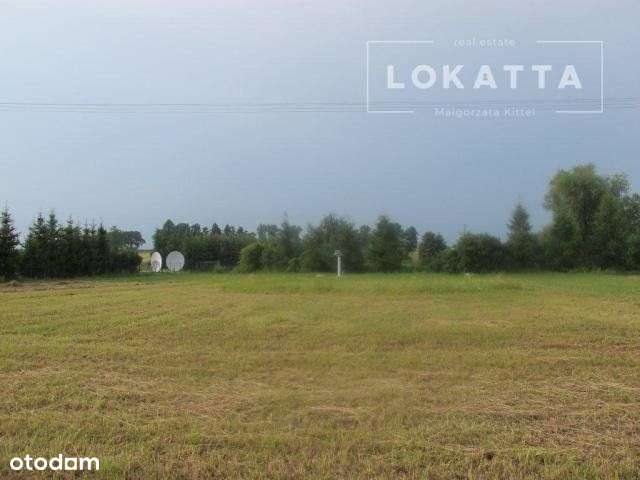 Nowe Wrońska, Gmina Załuski.-3