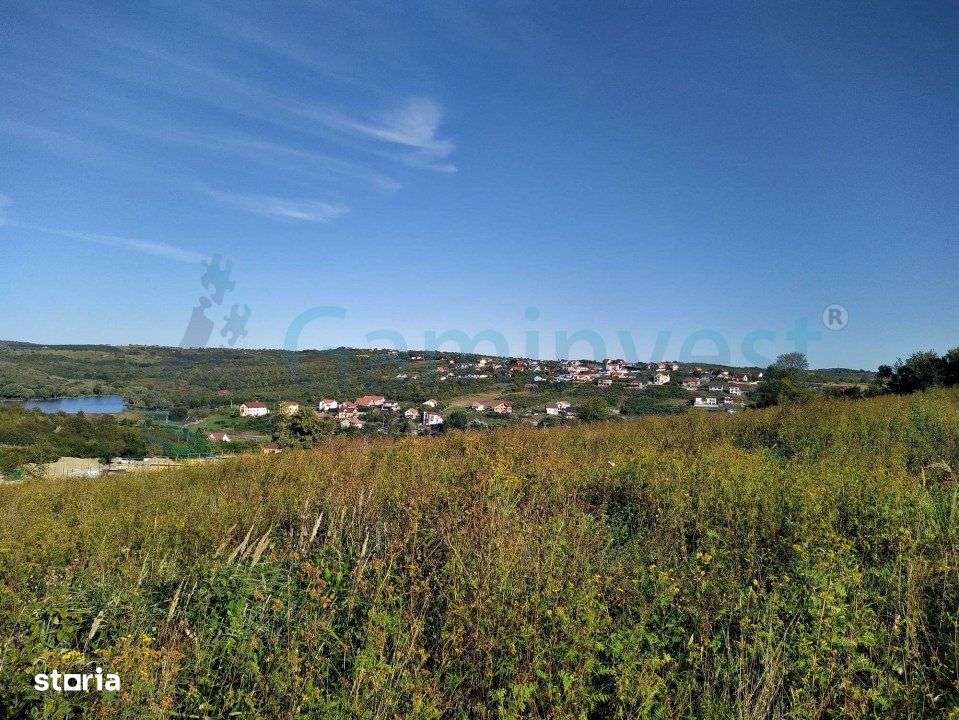 Gaminvest-Teren intravilan constructie case,Saldabagiu de Munte V3921 - Imagine principală: 2/5