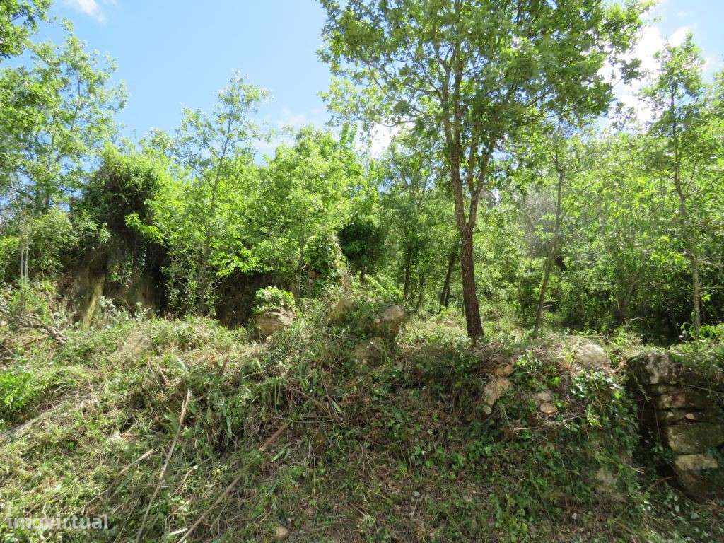 Terreno de construção de moradia rodeado de paisagens verdes - Grande imagem: 2/6