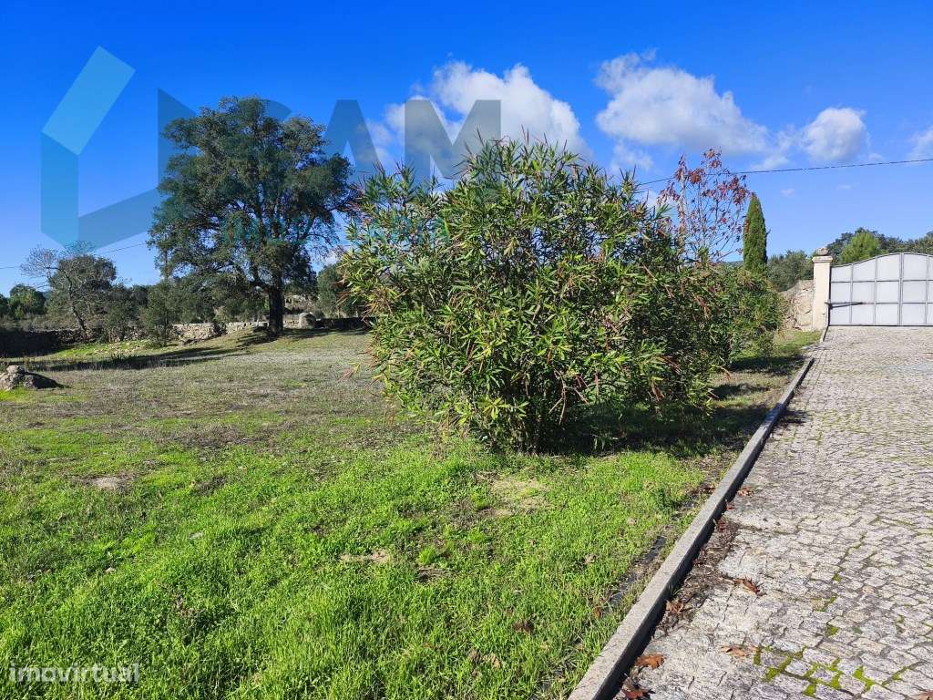 Herdade em Juncais - Fornos de Algodres, Guarda-3