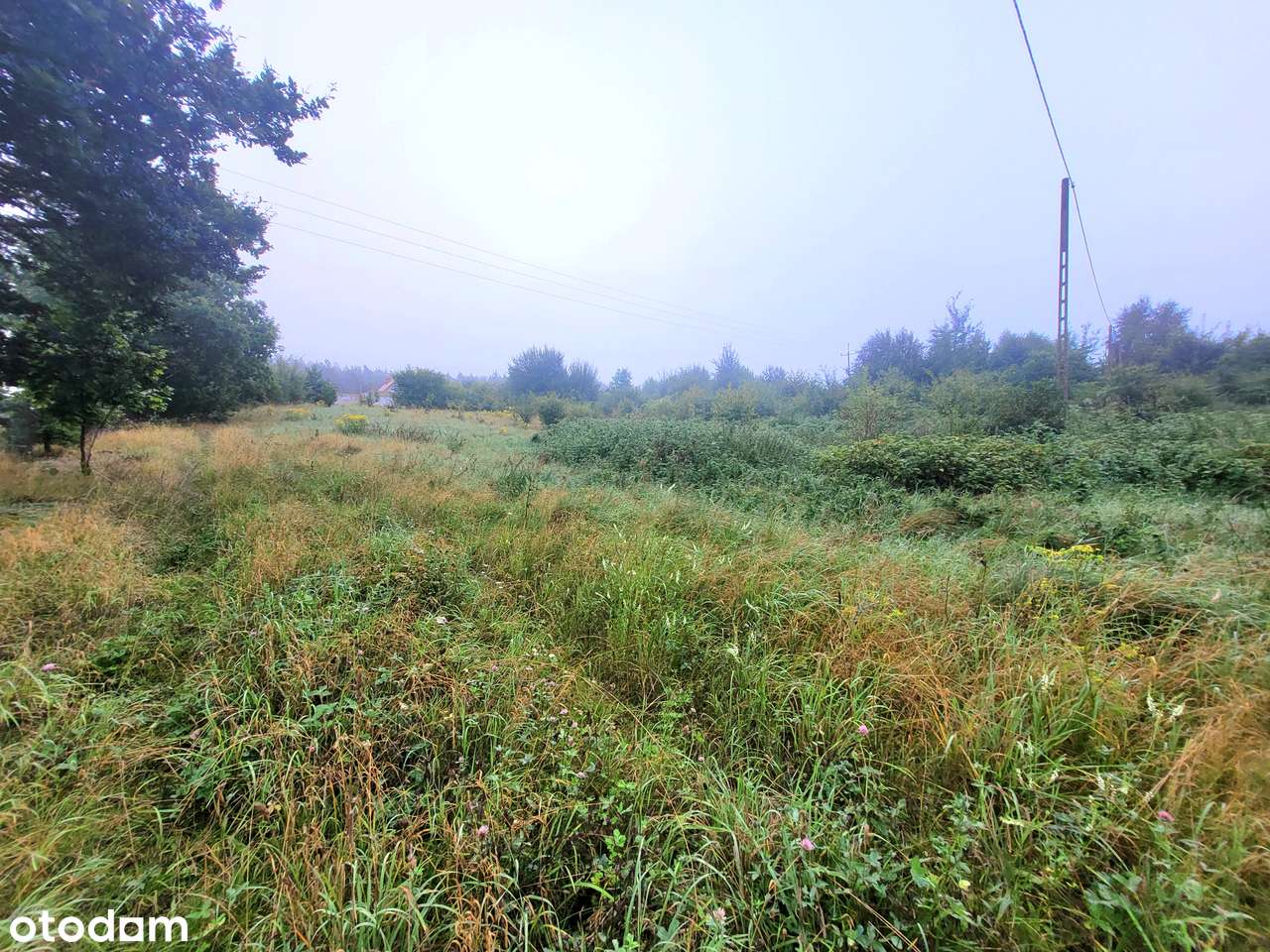 PKM 600 m|Las|Blisko S7 i Obwodnicy |Możliwość zakupu 3 działek-3