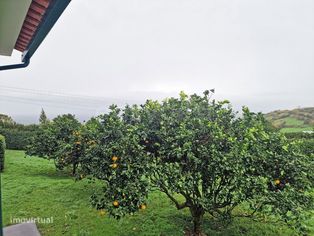 Moradia T3 com Garagem em Pedro Miguel, Ilha do Faial - Grande imagem: 2/24