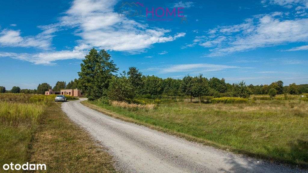 Działka budowlana blisko lasu - Trzeboś - Pełny obrazek: 5/14