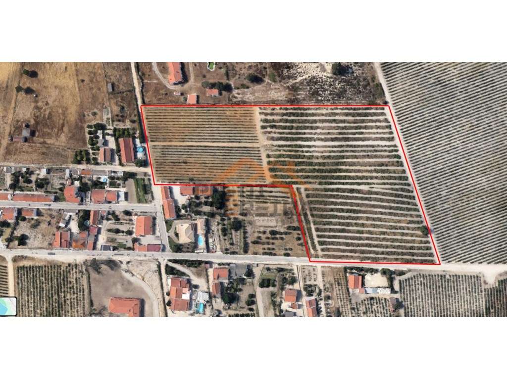 Oportunidade Única no concelho de Palmela, freguesia de Poceirão e ... - Grande imagem: 3/23