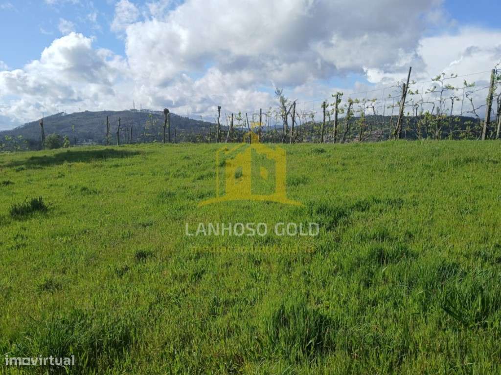 Terreno Agrícola com Tanque de Água - 2.240m² em Calvos, Póvoa de L... - Grande imagem: 1/14