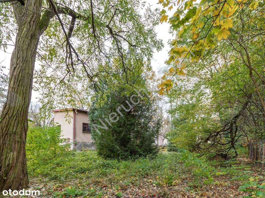 Dom na sprzedaż, 5 pokoi, 228 m², Podkowa Leśna