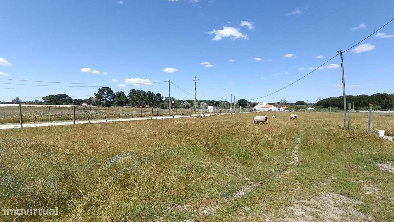 Quinta Pegões Velhos, junto á adega, com moradia e armazém lote 3,8 ha-46