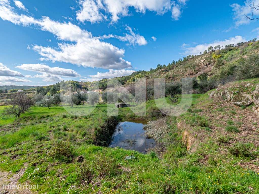 Quinta T2 com Habitação, Infraestruturas Agrícolas e Terreno com Vi...-37