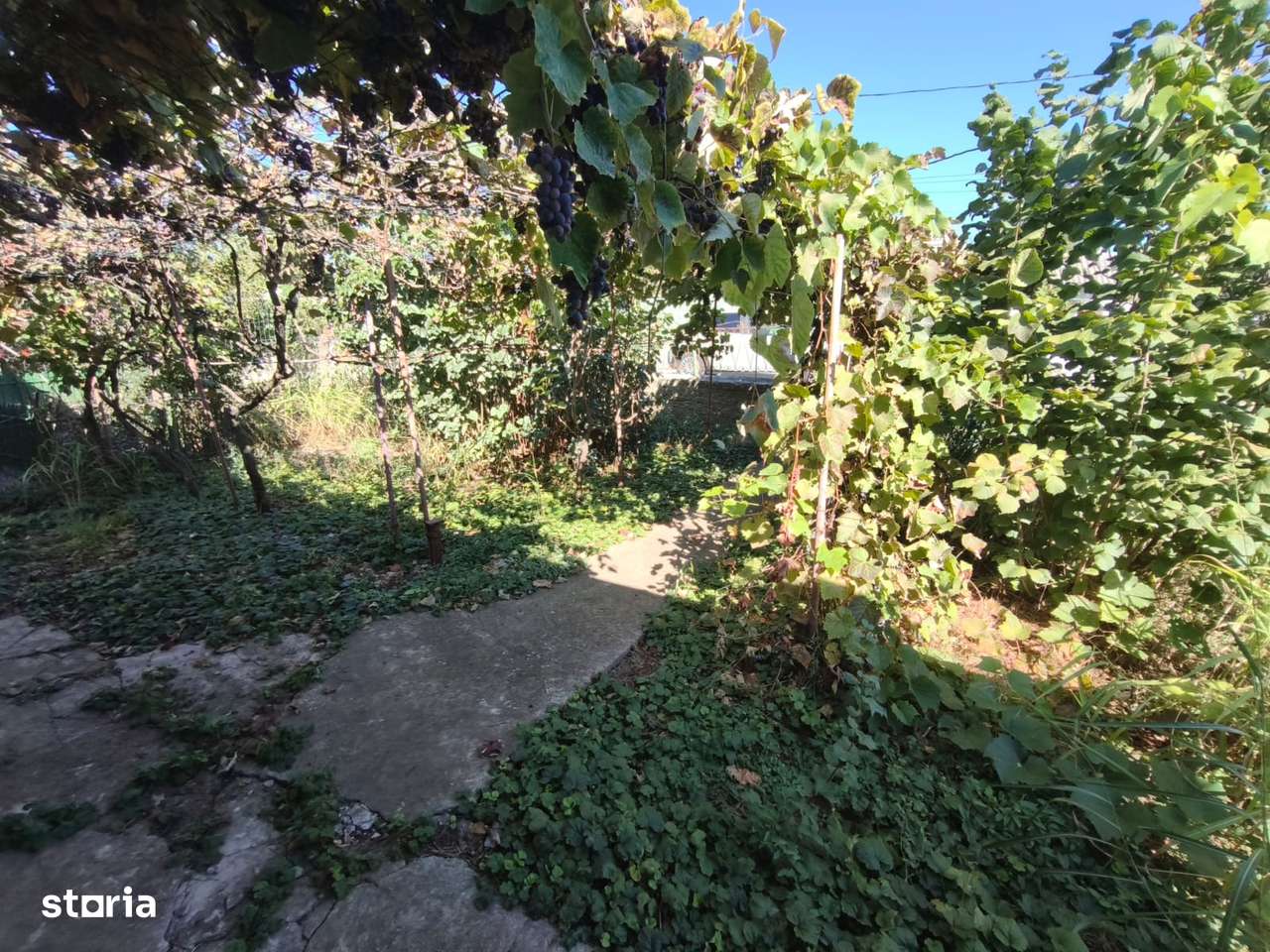 Comision 0% - Casă Tradițională cu Teren Generos în Valu lui Traian-9