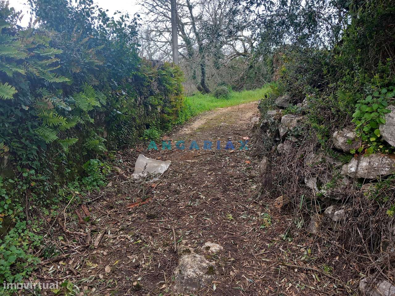 ANG1560 - Quinta para Venda em Santiago da Guarda, Ansião - Grande imagem: 4/13