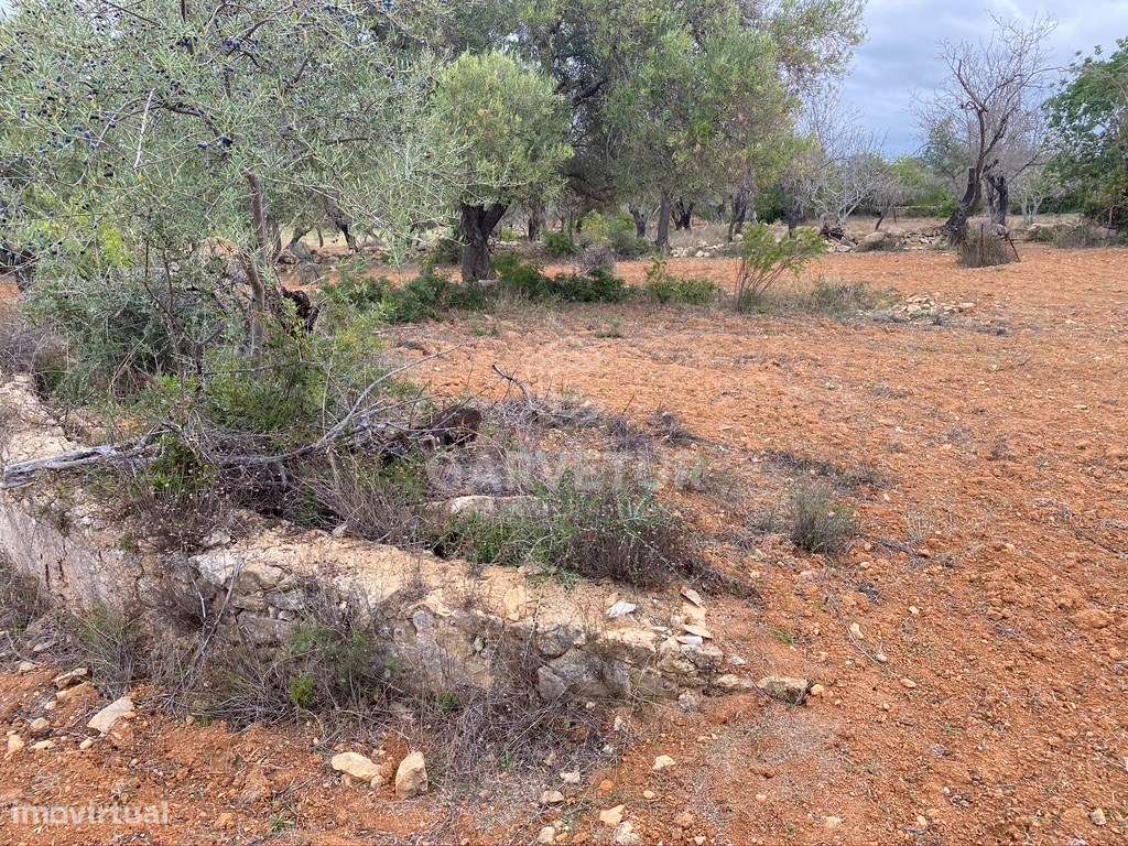 Lote de terreno rústico situado em zona muito tranquila, Boliqueime... - Grande imagem: 3/14