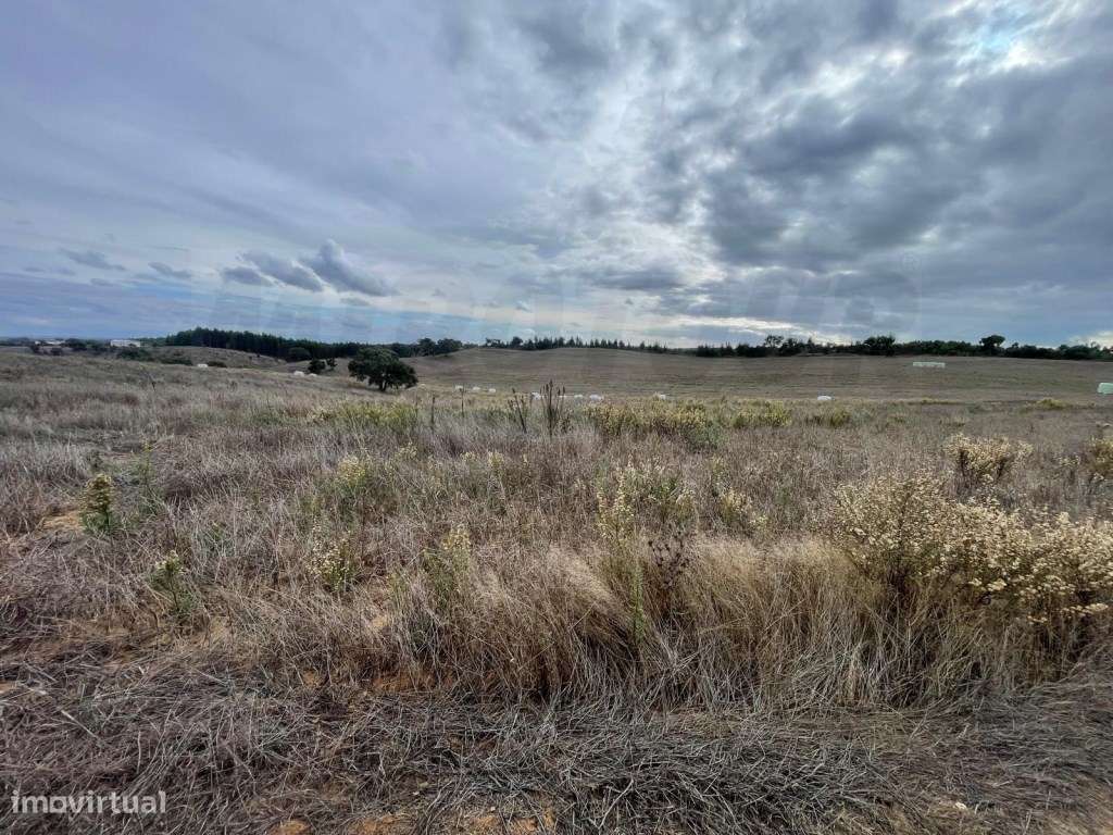 Monte Típico Alentejano para Reabilitar - Santiago do Cacém-15