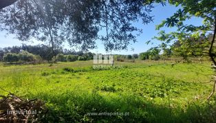 Venda de terreno agrícola, Alvarães, Viana do Castelo - Grande imagem: 5/15