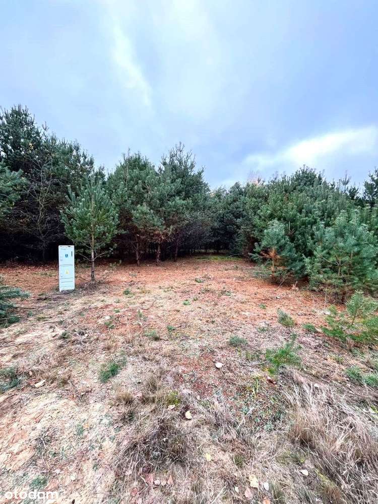 Działki budowlane w Pawłowie Skockim-3