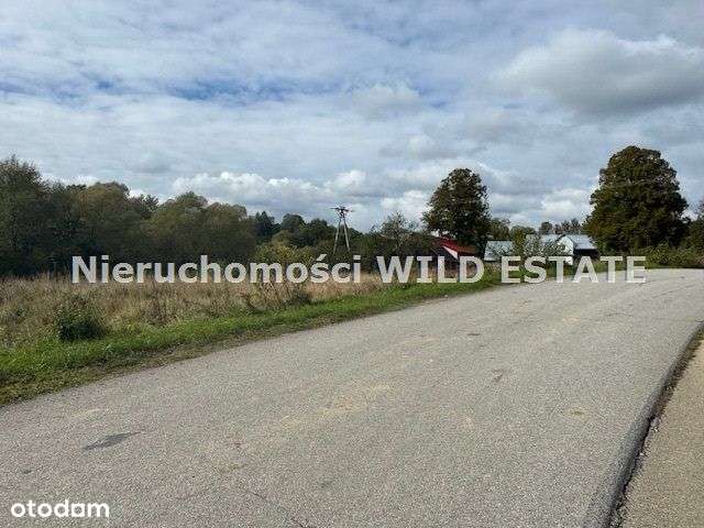 Działka, 2 593 m², Olszanica - Pełny obrazek: 4/10