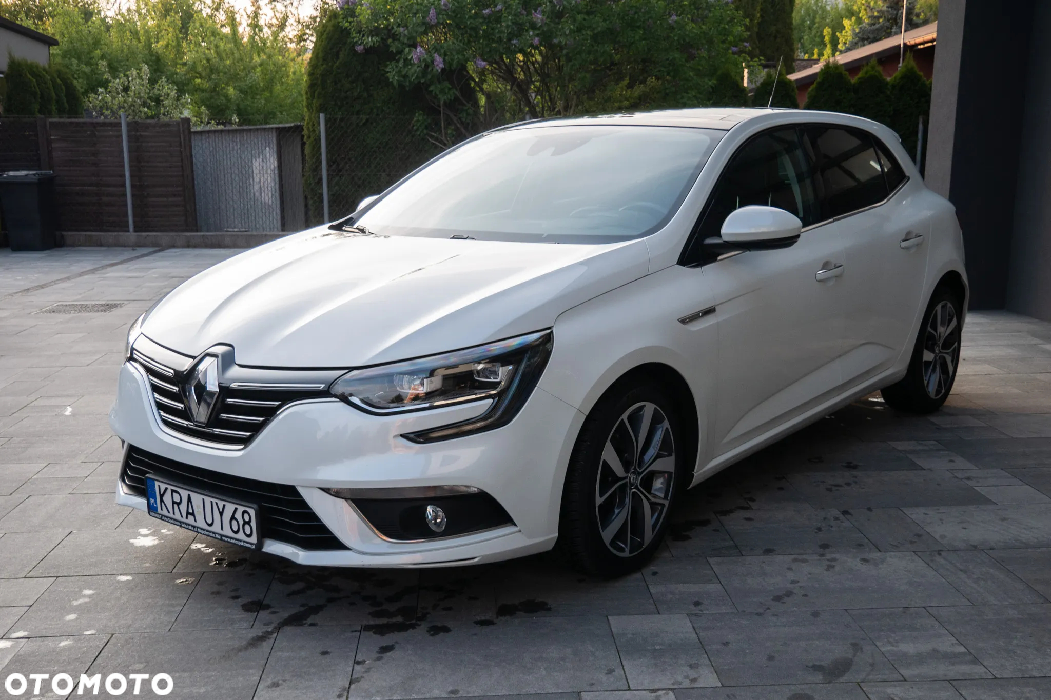 Renault Megane - 9