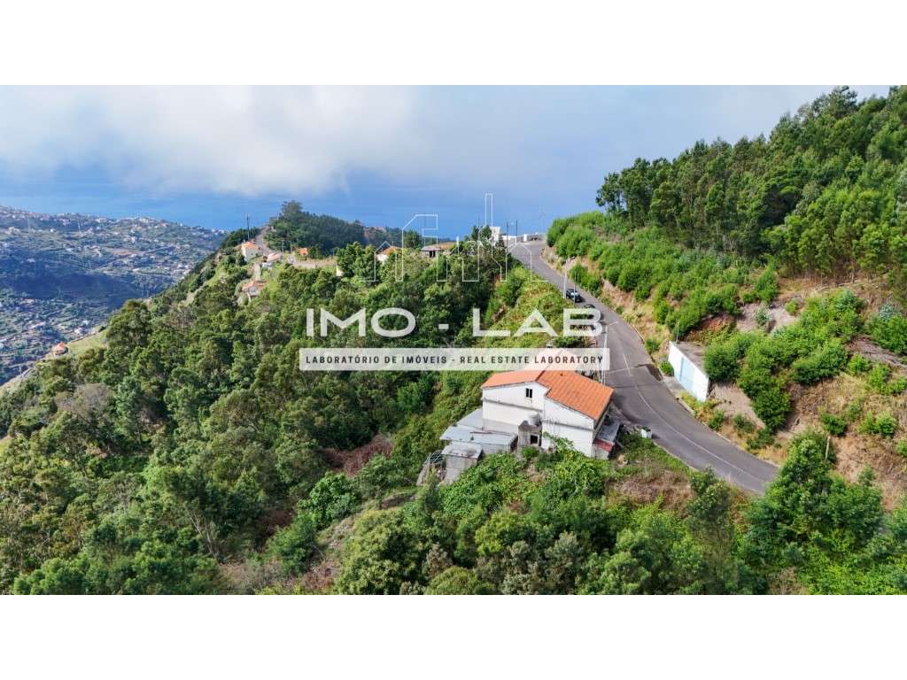 Villa T3 - Ribeira Brava - Grande imagem: 5/38