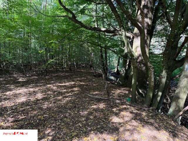 Siestrzeń, 10 000m,do podziału na 6 działek,z Mpzp-1