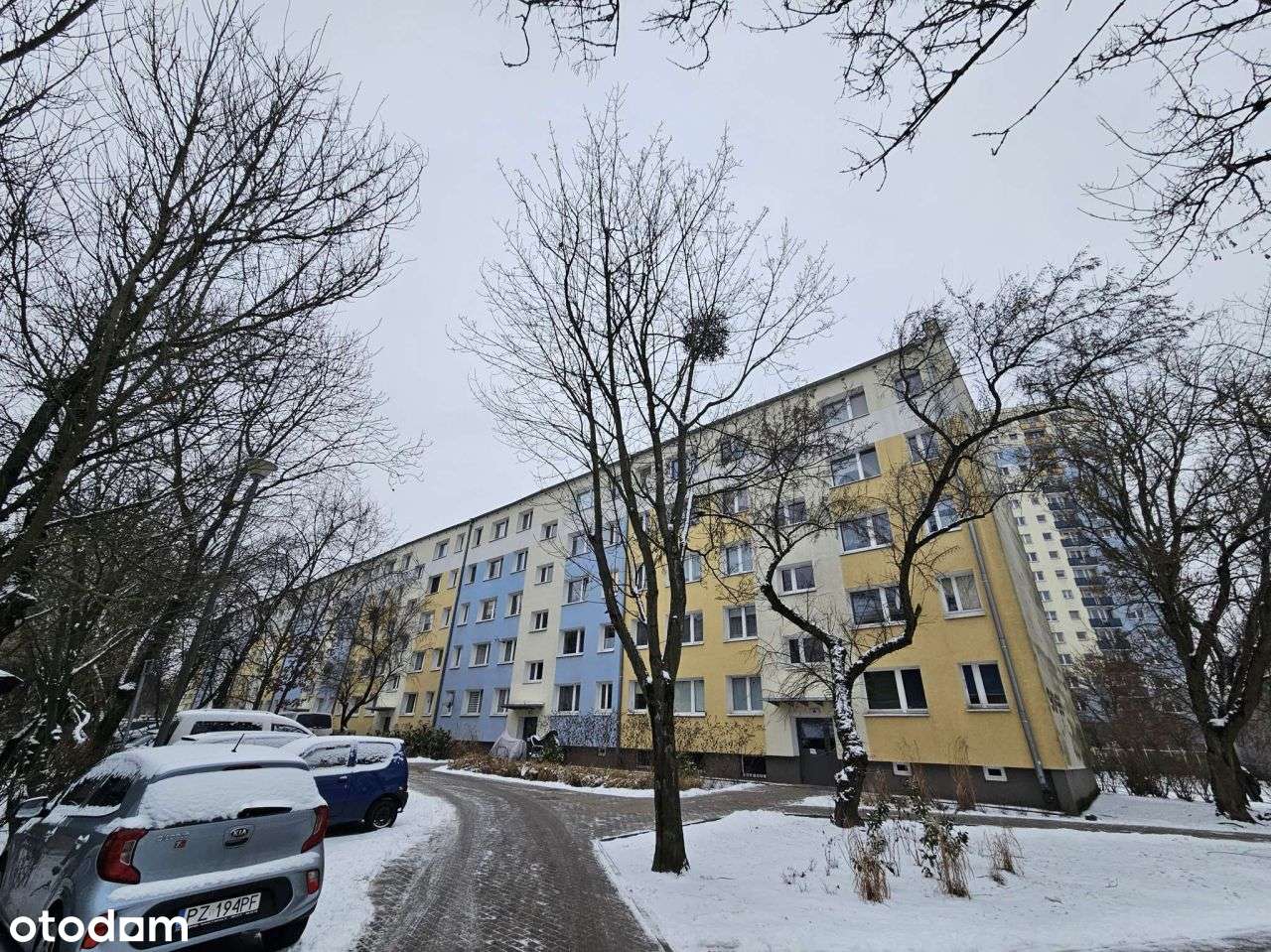 4 pokoje I Rataje I top lokalizacja-14