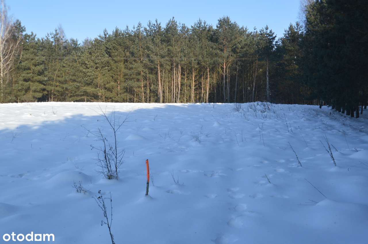 Działki na sprzedaż – Małe Radowiska, gm. Ryńsk-6