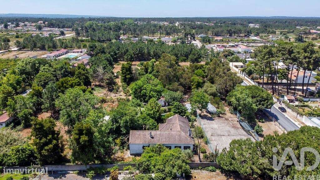 Terreno em Fernão Ferro de 10174,00 m2 - Grande imagem: 5/29