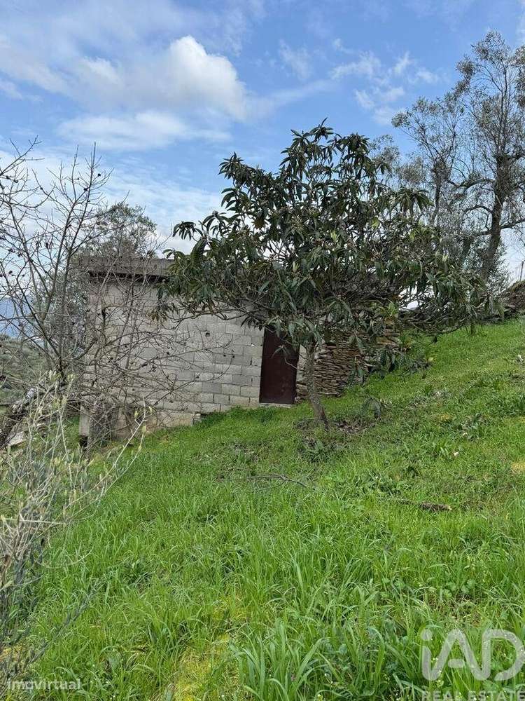 Terreno Agrícola em Tabuaço - Grande imagem: 2/14