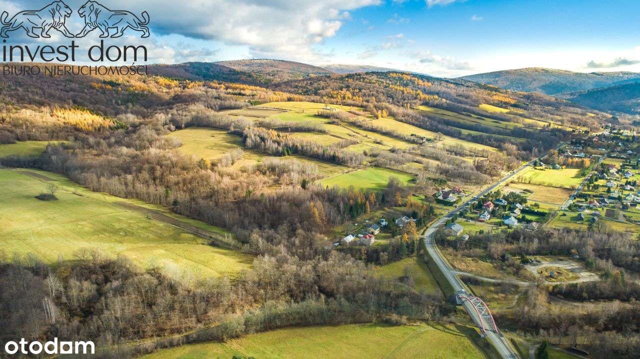 .. idealna, komfortowa i pod lasem! taka jest dzia-11