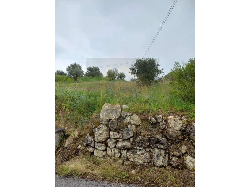Terreno - Zambujal - Ourém - Grande imagem: 5/6