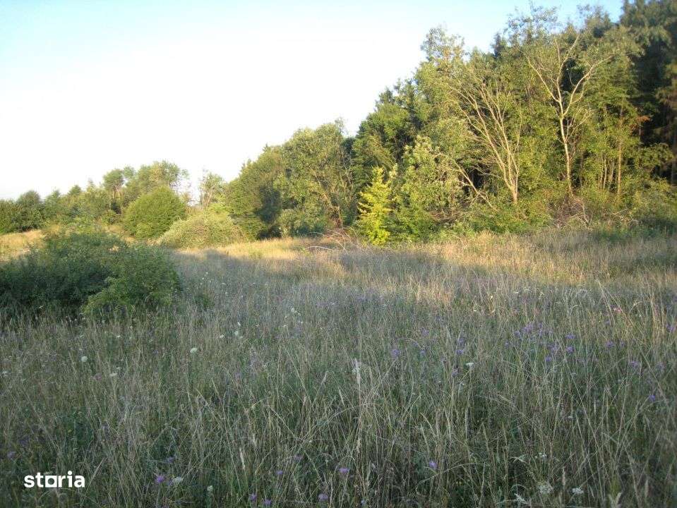 INVESTITIE! Teren intravilan 5700mp - Chinteni, jud Cluj! - Imagine principală: 2/3