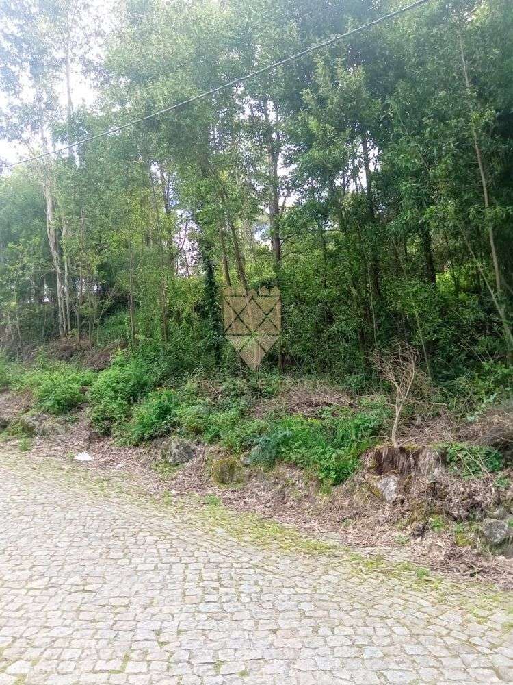 Terreno com 2.229 m² em Fonte Arcada - Grande imagem: 4/4