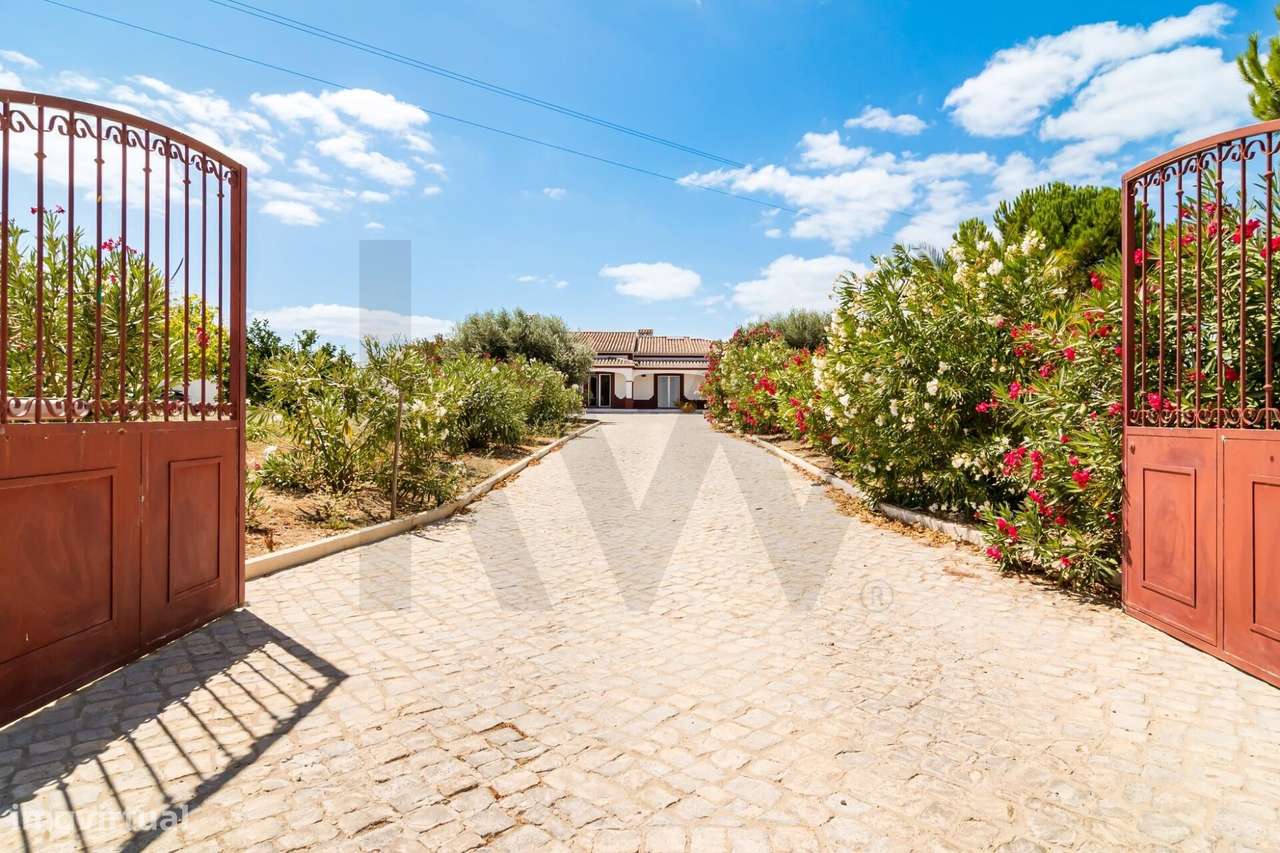 Herdade em Arroçadas - Santarem - 27.360m2 - Grande imagem: 2/38