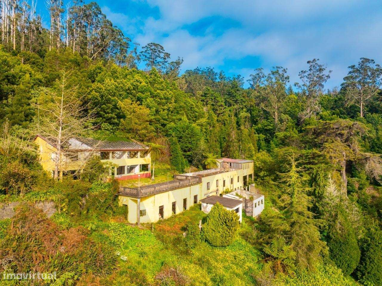 Quinta da Choupana - Um Legado Verde no Coração do Funchal - Grande imagem: 4/32