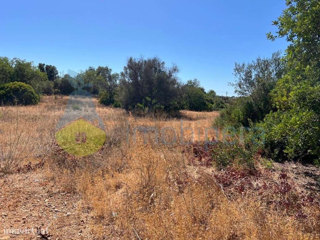 TERRENO RÚSTICO EM CANAIS DE FERREIRAS -EXCLELENTE LOCALIZAÇÃO - Grande imagem: 4/15