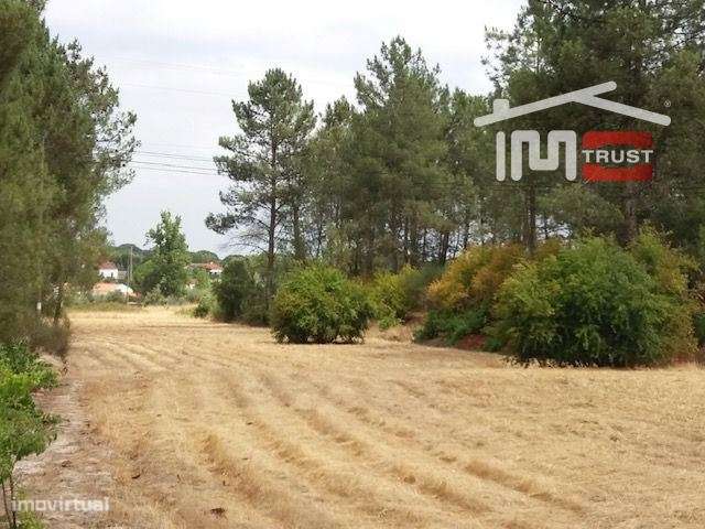 Terreno em Coruche com 34.074m2 - Grande imagem: 3/13