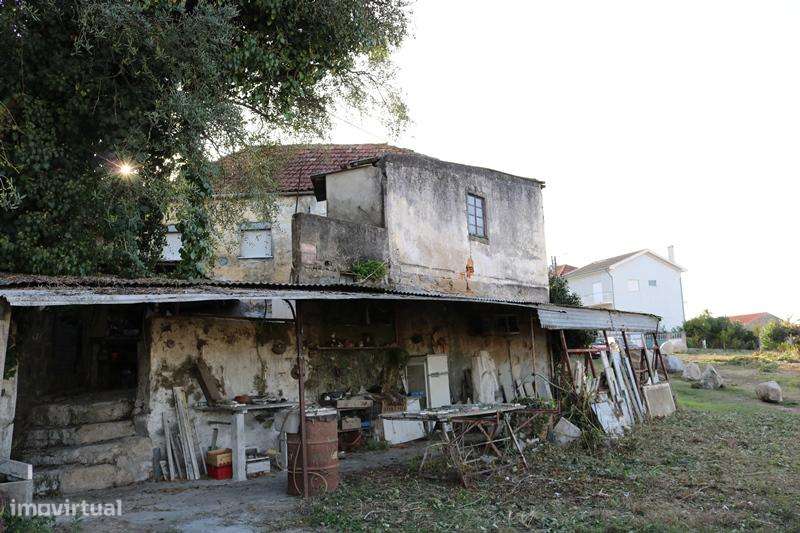Propriedade c/ 1.800 m2 com  5  artigos urbanos em S. Vicente - Braga-23