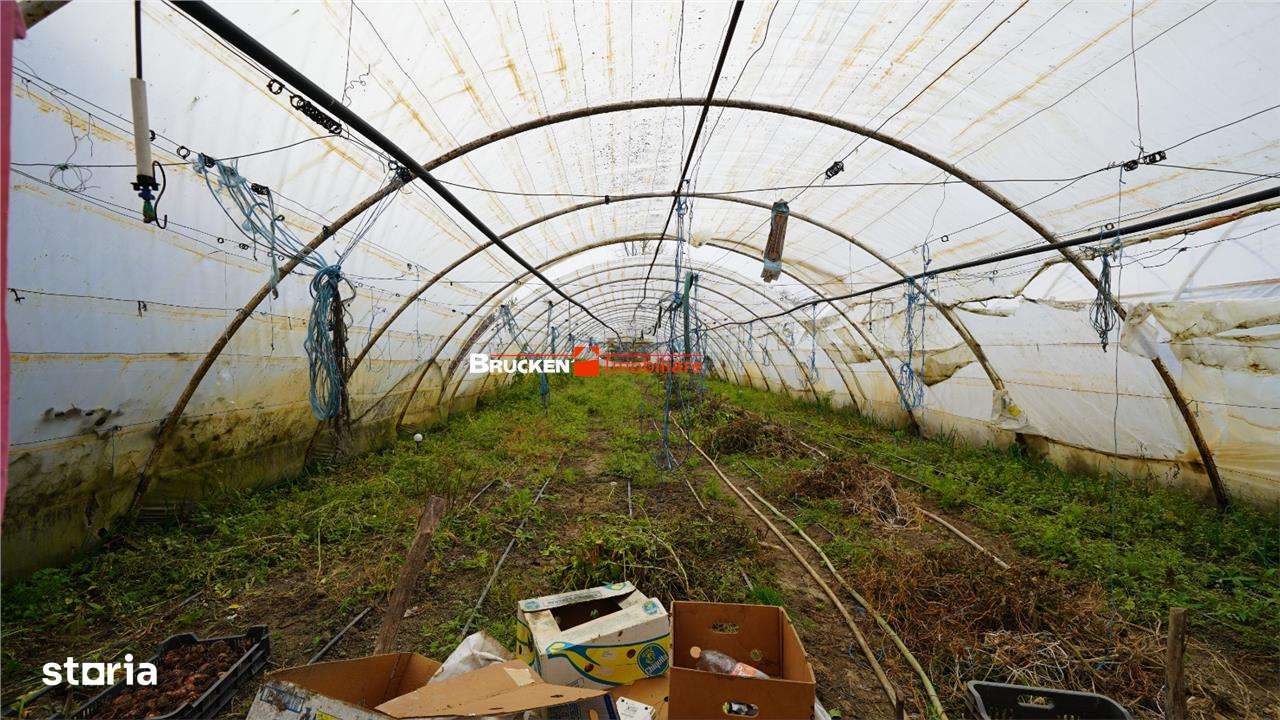 Casa de vanzare in Mihai Bravu-9