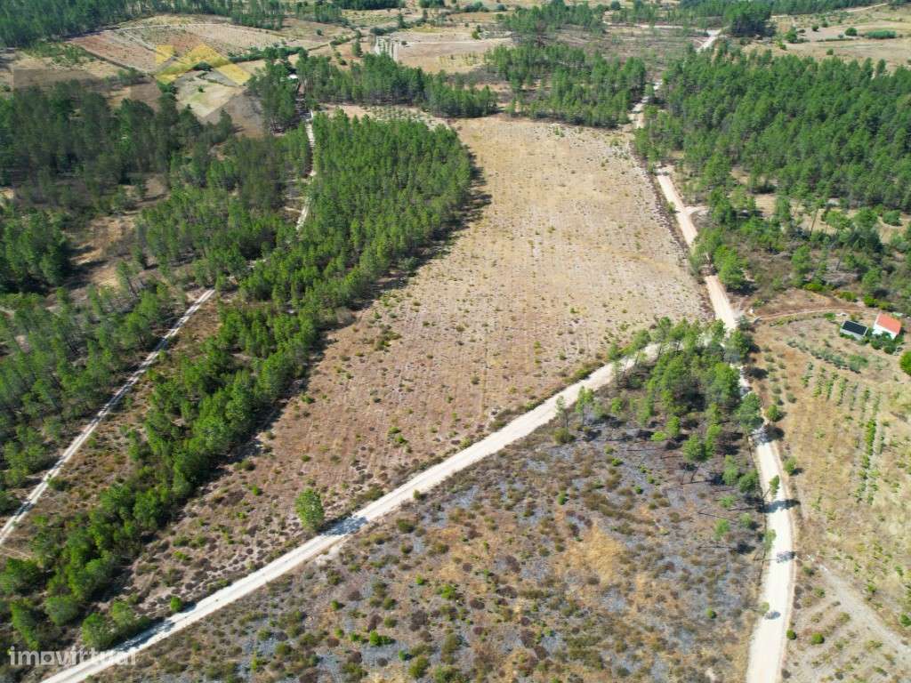 Oportunidade de Investimento - 2 Terrenos Rústicos - Grande imagem: 2/12