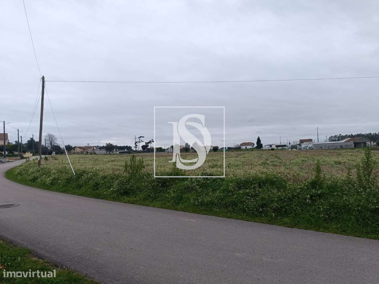 Terreno com 6.450m2 na Caxaria (Louriçal, Pombal) - Grande imagem: 5/6