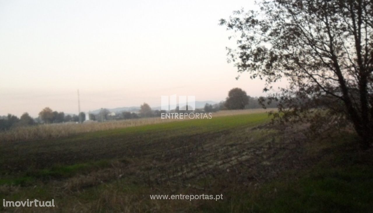 Terreno Agrícola - Lanheses