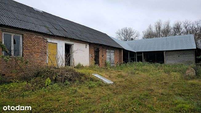 Wierzchowiska Pierwsze - siedlisko pod lasem-3