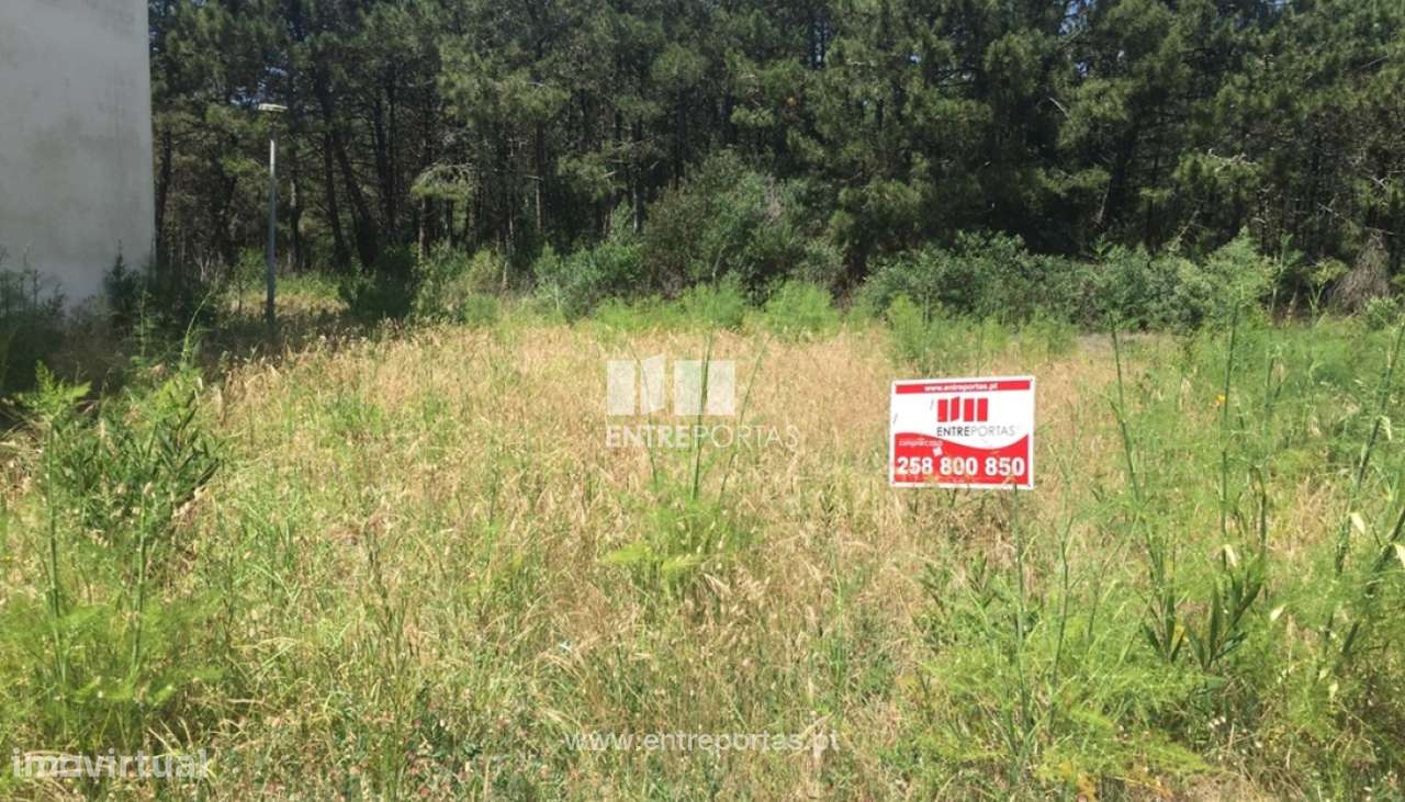 Venda de Terreno, Praia da Amorosa - Chafé, Viana do Castelo - Grande imagem: 5/23