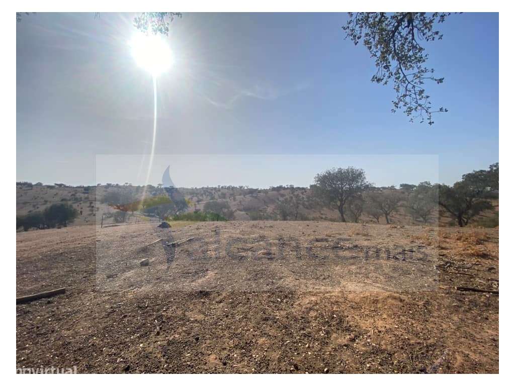 Propriedade de 35 ha - com Monte em Ruínas em Serpa - Grande imagem: 4/25