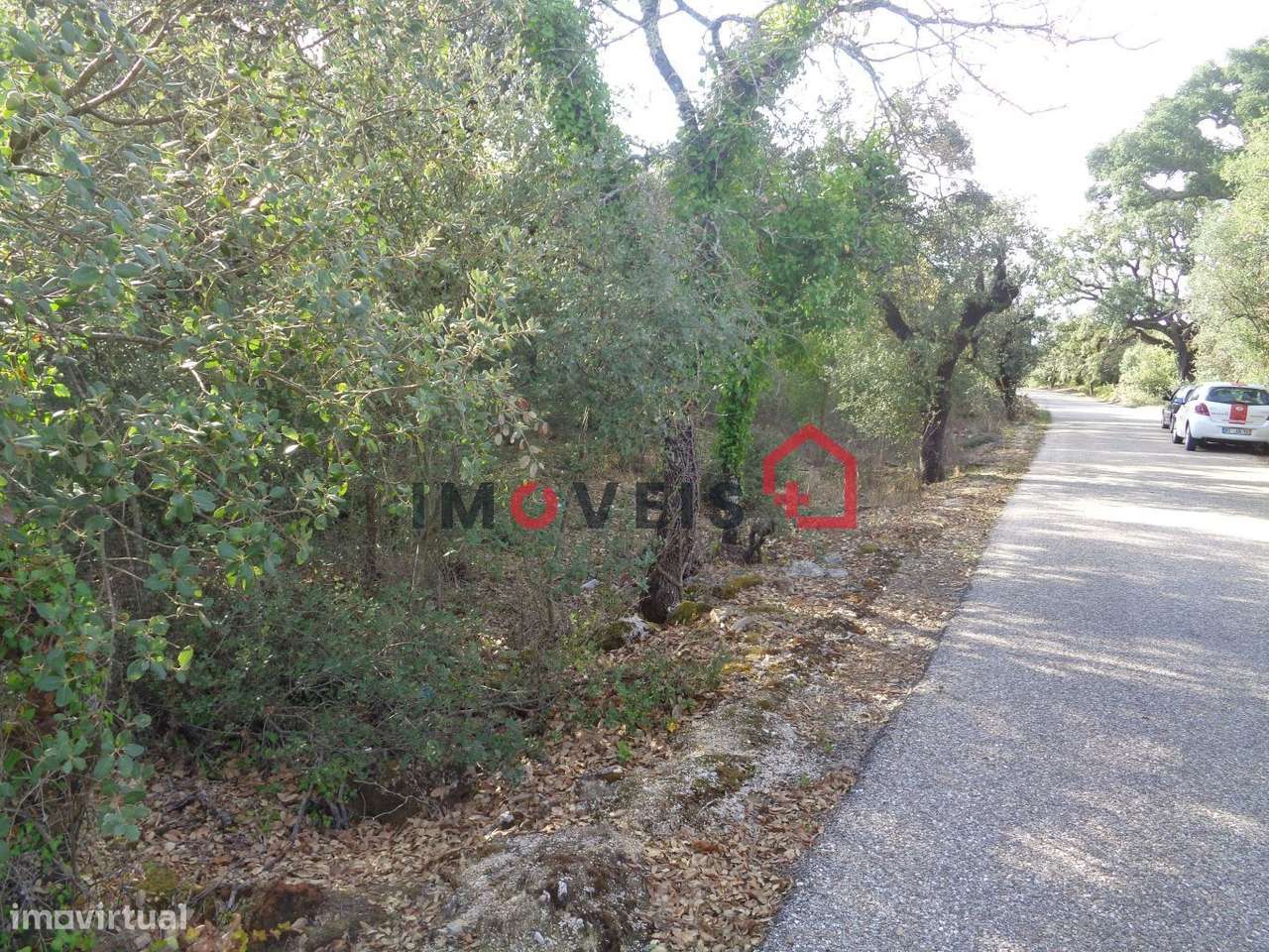 Terreno Rústico - Grande imagem: 2/2